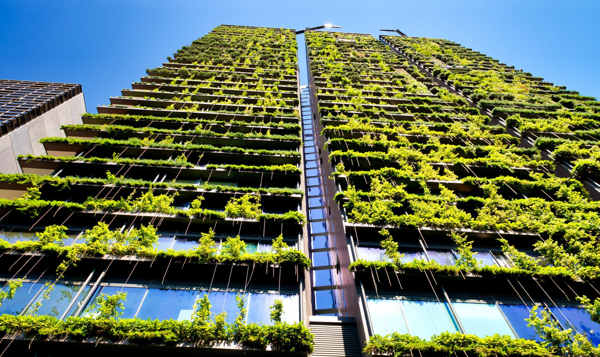 Net Zero Building Standard